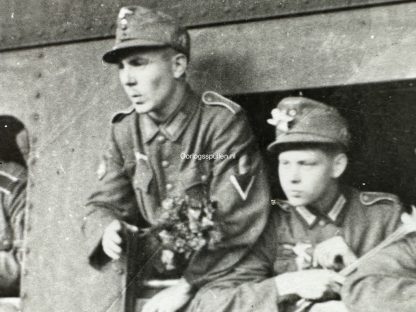 Original WWII Walloon volunteer legion photo Brussels 1942 - Image 3