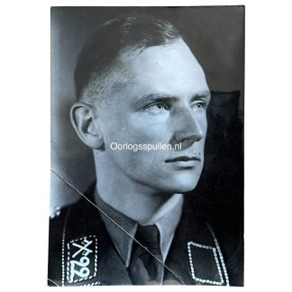 Original WWII German Allgemeine SS portrait photo