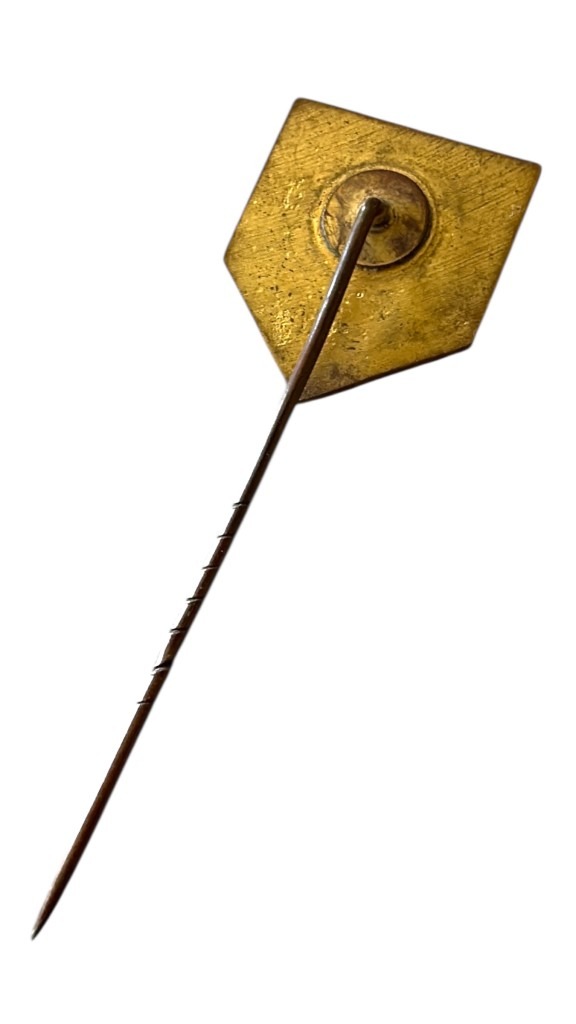 Original WWII Dutch Nationale Jeugdstorm stickpin