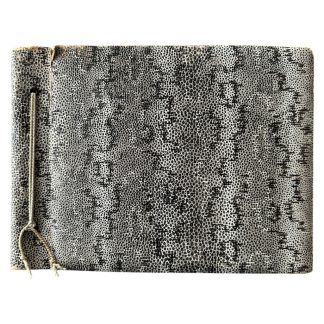 Original WWII Dutch NSB/Waffen-SS/NSKK photo album