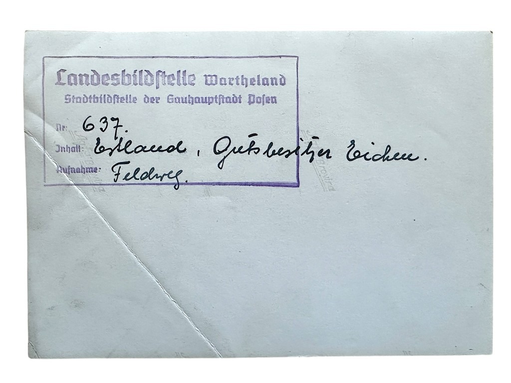 Original WWII German Allgemeine SS portrait photo - Image 3