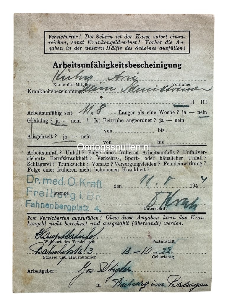 Original WWII Dutch large 'Arbeitseinsatz' grouping Delft / Freiburg - Image 12