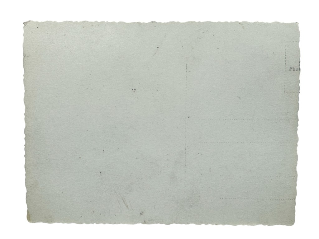 Original WWII German Allgemeine-SS photo Standarte 37 ‘Oberabschnitt Donau’ Vienna - Image 4