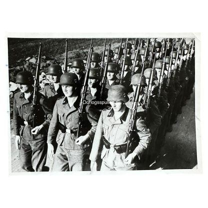 Original WWII Dutch Waffen-SS photo - Oorlogsspullen.nl - Militaria shop