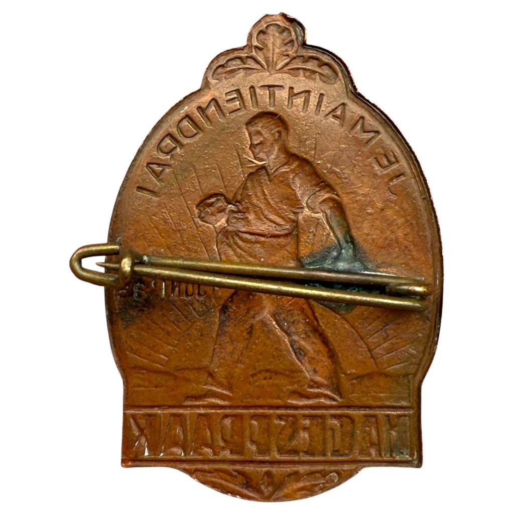 Original WWII Dutch NSB Hagespraak 1936 pin - Image 2