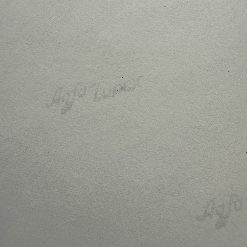 Original WWII German Waffen-SS photo of knocked out Soviet KV-2 heavy tank - Image 4