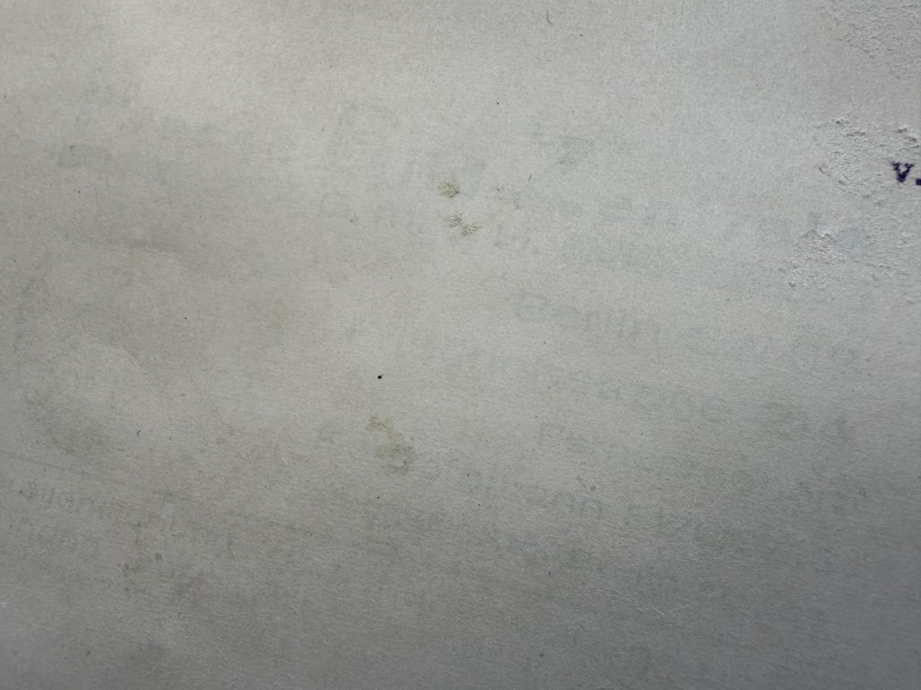 Original WWII German large size Luftwaffe Hermann Göring photo - Image 4