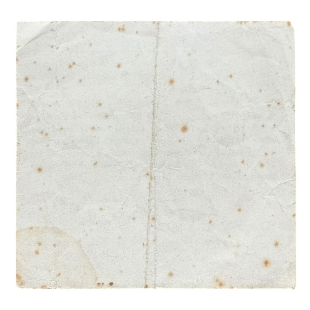 Original WWII German SS announcement leaflet Haarlem - Image 5