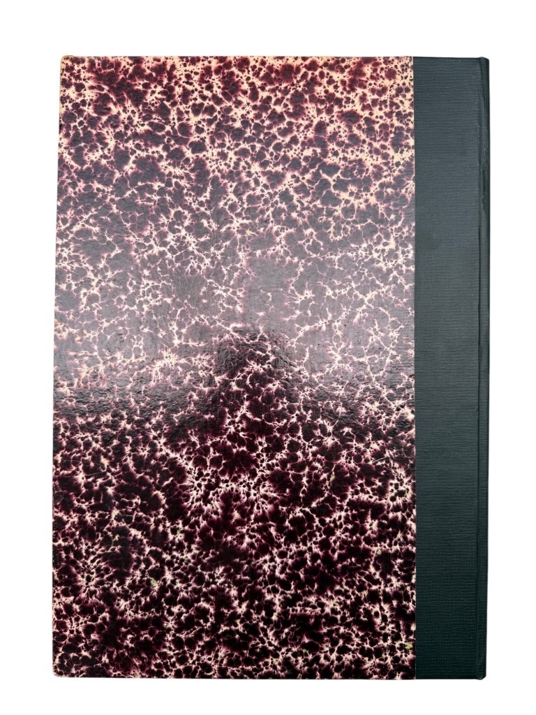 Original WWII Dutch bound set of 9 issues collaborationist magazine 'Volksche Wacht' - Image 19