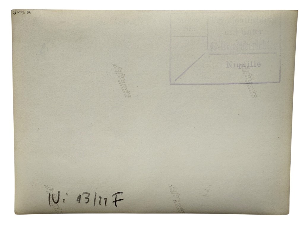 Original WWII German SS-Kriegsberichter photo Sanitätshund - Image 3