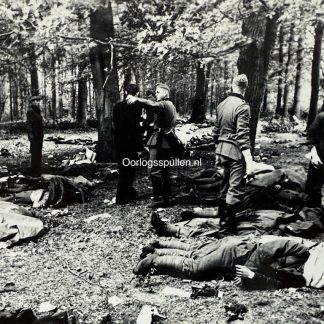 Original WWII Dutch photo May 1940 Grebbeberg