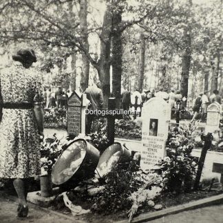 Original WWII Dutch photo cemetery Grebbeberg