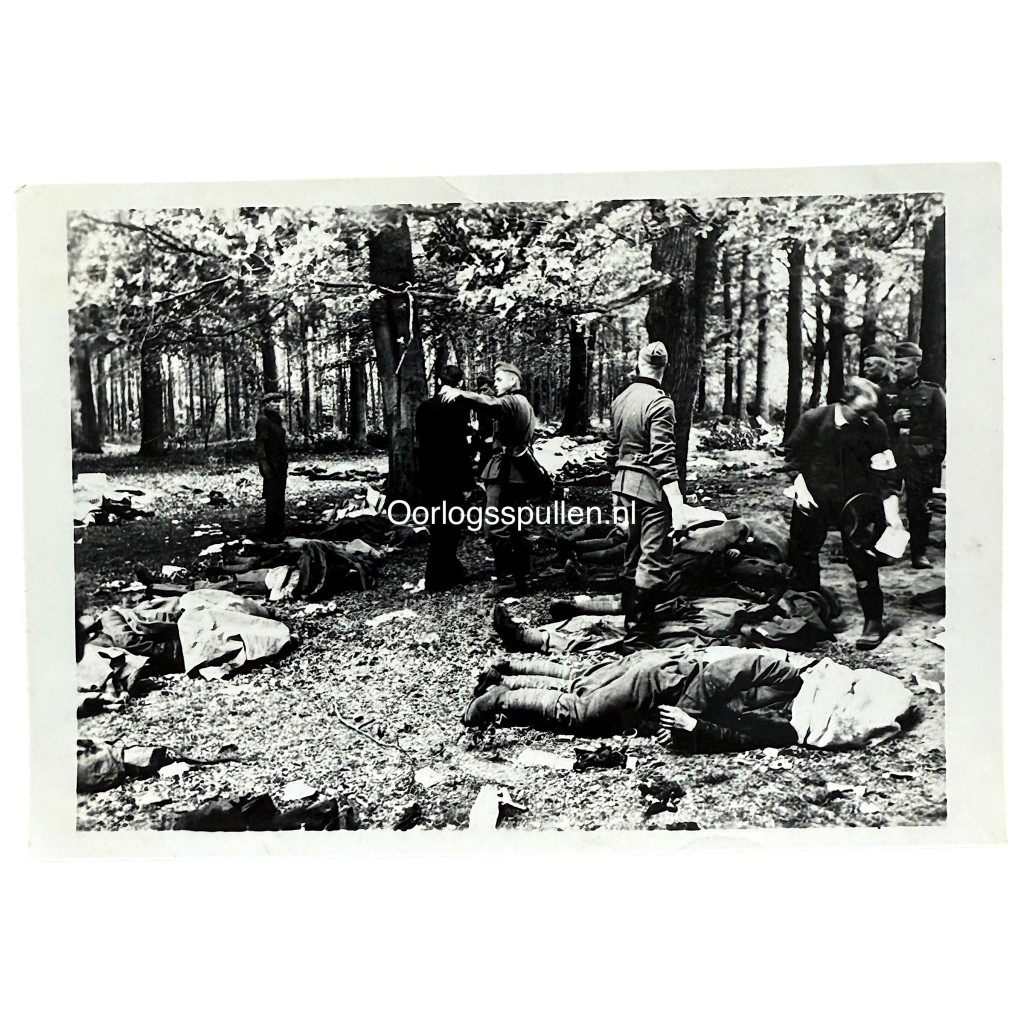 Original WWII Dutch photo May 1940 Grebbeberg