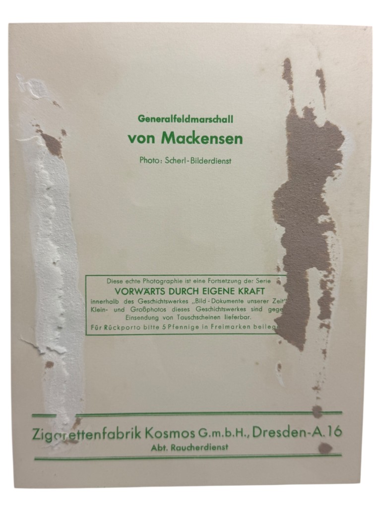 Original WWII German portrait photograph of Von Mackensen - Image 3