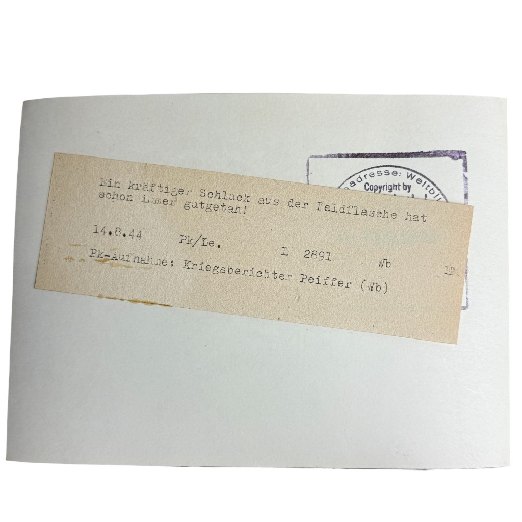 Original WWII German Panzergrenadier Division Großdeutschland photo - soldiers with camouflage helmets backside