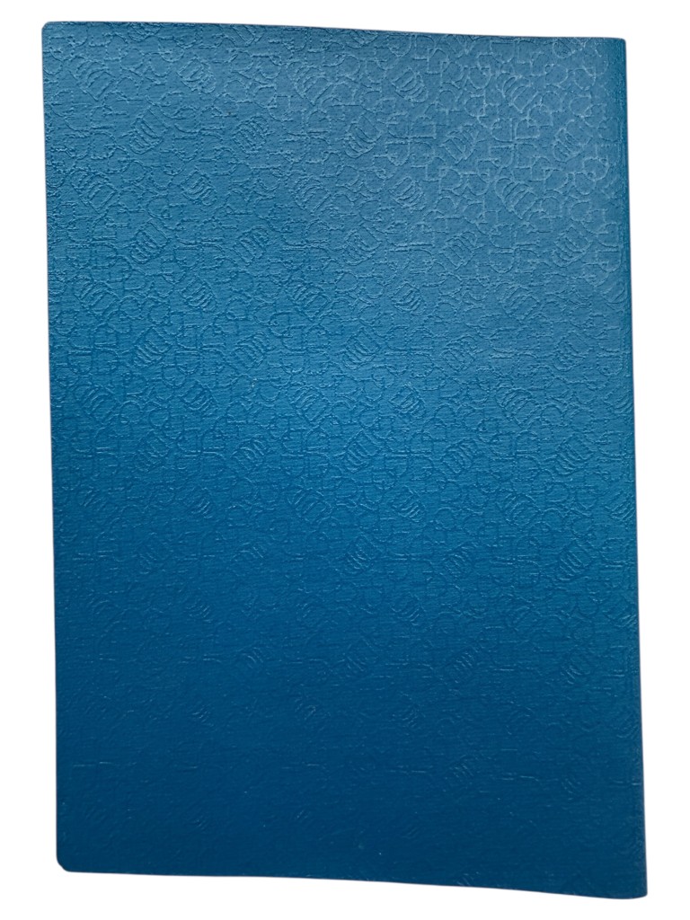 Original Cold War era DDR Reisepass from Strausberg - Image 7