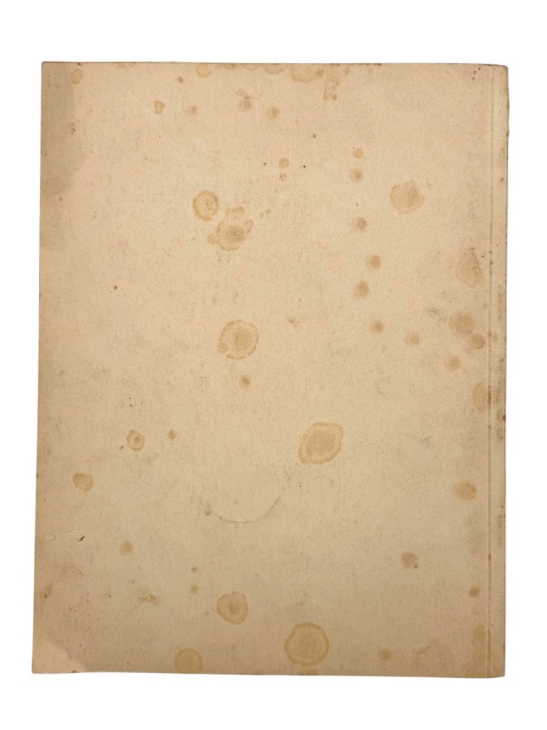 Original WWII German NSDAP book 'Der Führer in Weimar 1925–1938' - Image 21