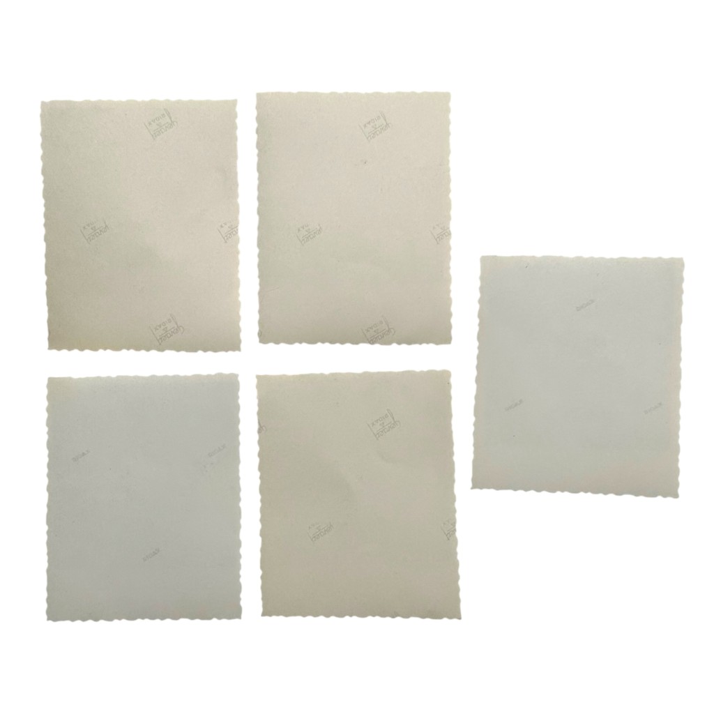 Original WWII Dutch 'Prinses Irene Brigade' liberation photo set - Image 8