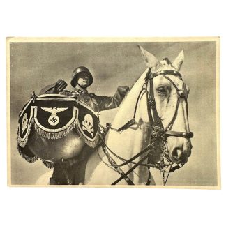 Original German Waffen SS postcard WWII SS cavalry division trumpeter corps soldier on horseback propaganda postcard