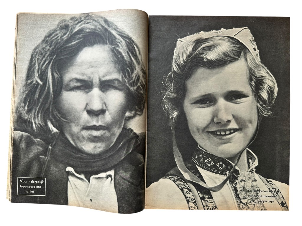 Original WWII Dutch SS propaganda magazine 'De Beestmensch' - Image 8
