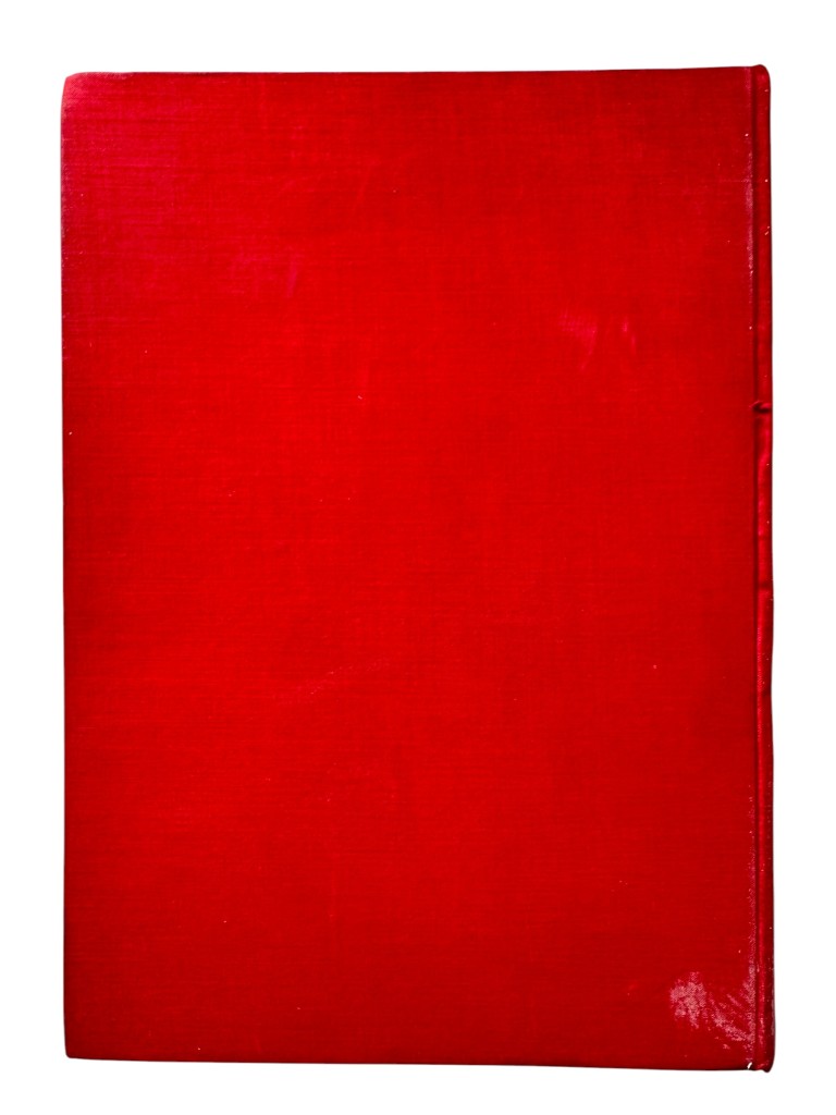 Original 1929 German book Die Zukunft des Reiches from NSB member Max Blokzijl - Image 8