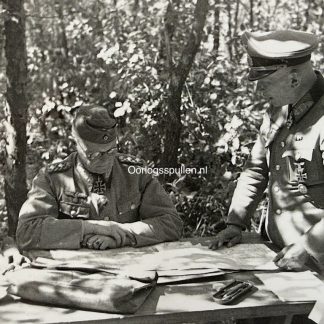 Original WWII German photo of General Erwin Rommel and Hans Speidel