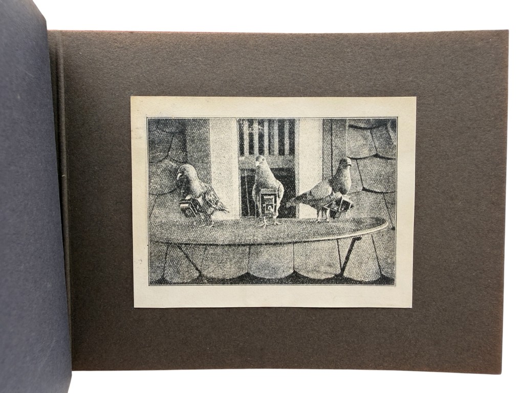 Original WW1 Dutch army 'Duivendienst' Sleeuwijk album - Image 8
