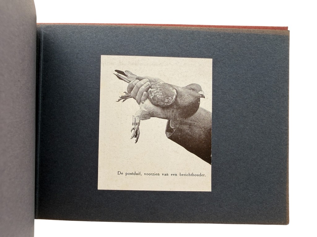 Original WW1 Dutch army 'Duivendienst' Sleeuwijk album - Image 11