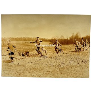 Original WWI German Army photo Kriegshundeschule soldiers and military war dogs during trench jumping training behind the Western Front.