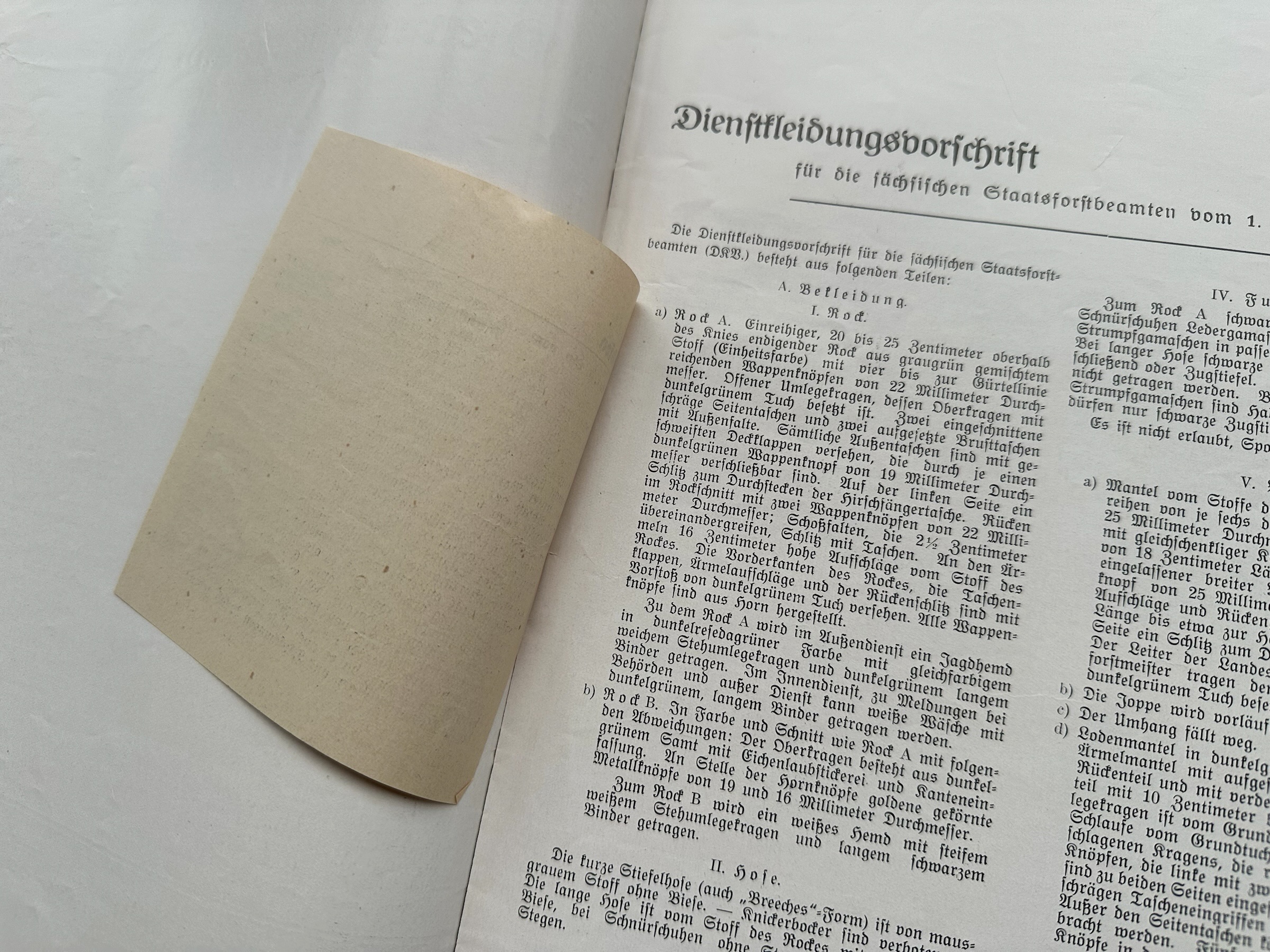 Original 1934 German Saxony State Forestry Service Uniform Regulations – Dienstkleidungsvorschrift Sächsische Staatsforstbeamten - Afbeelding 6