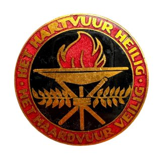 Original WWII Dutch NSVO pin