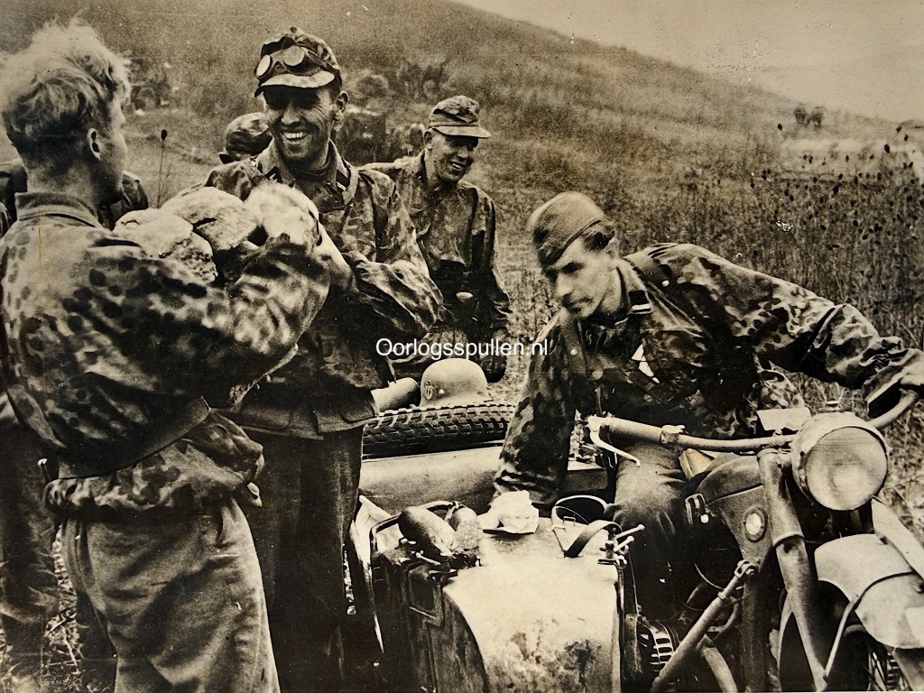 Original WWII German Waffen-SS photo with camouflage uniforms