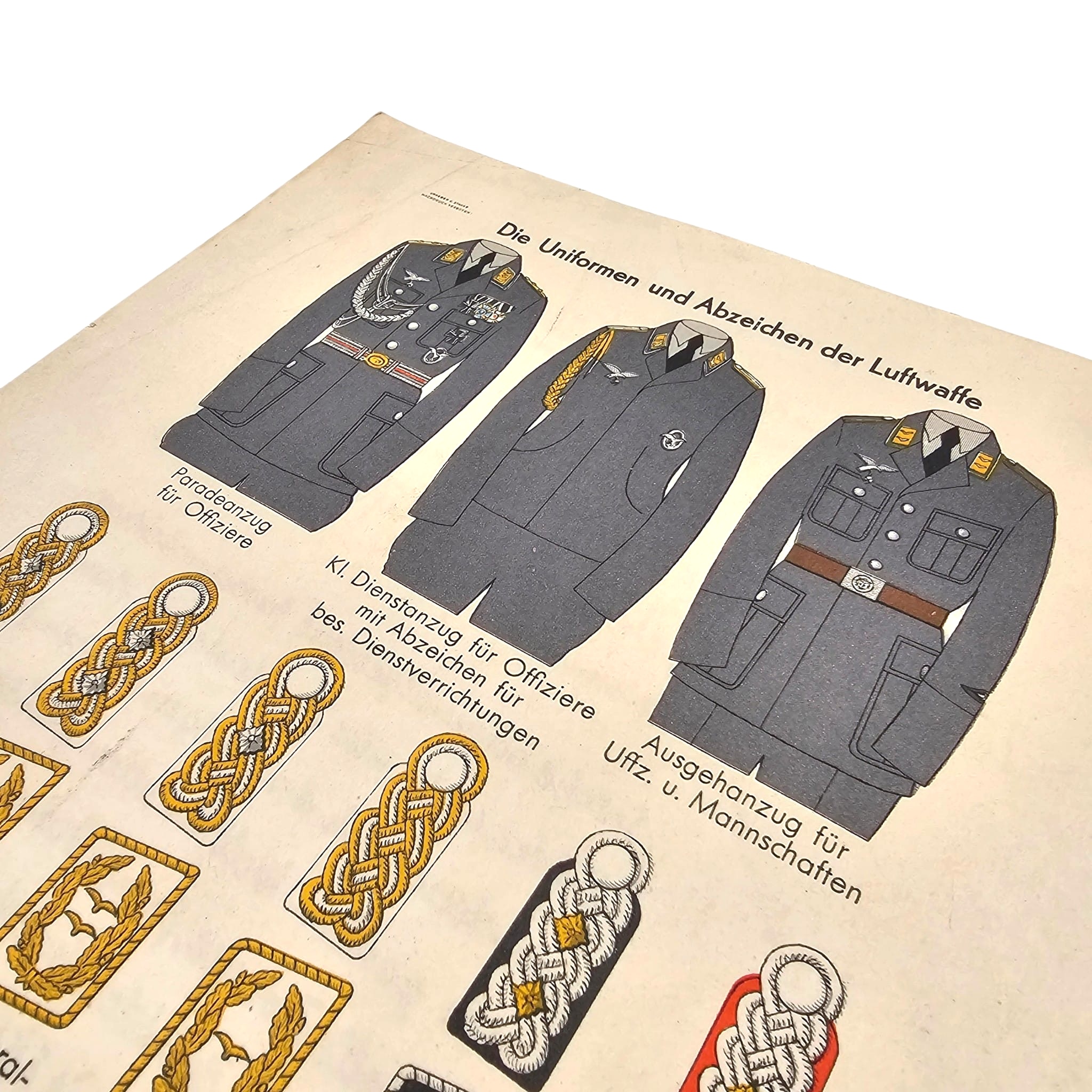 Original WWII German Luftwaffe Uniform and Insignia Chart by Moritz Ruhl Leipzig