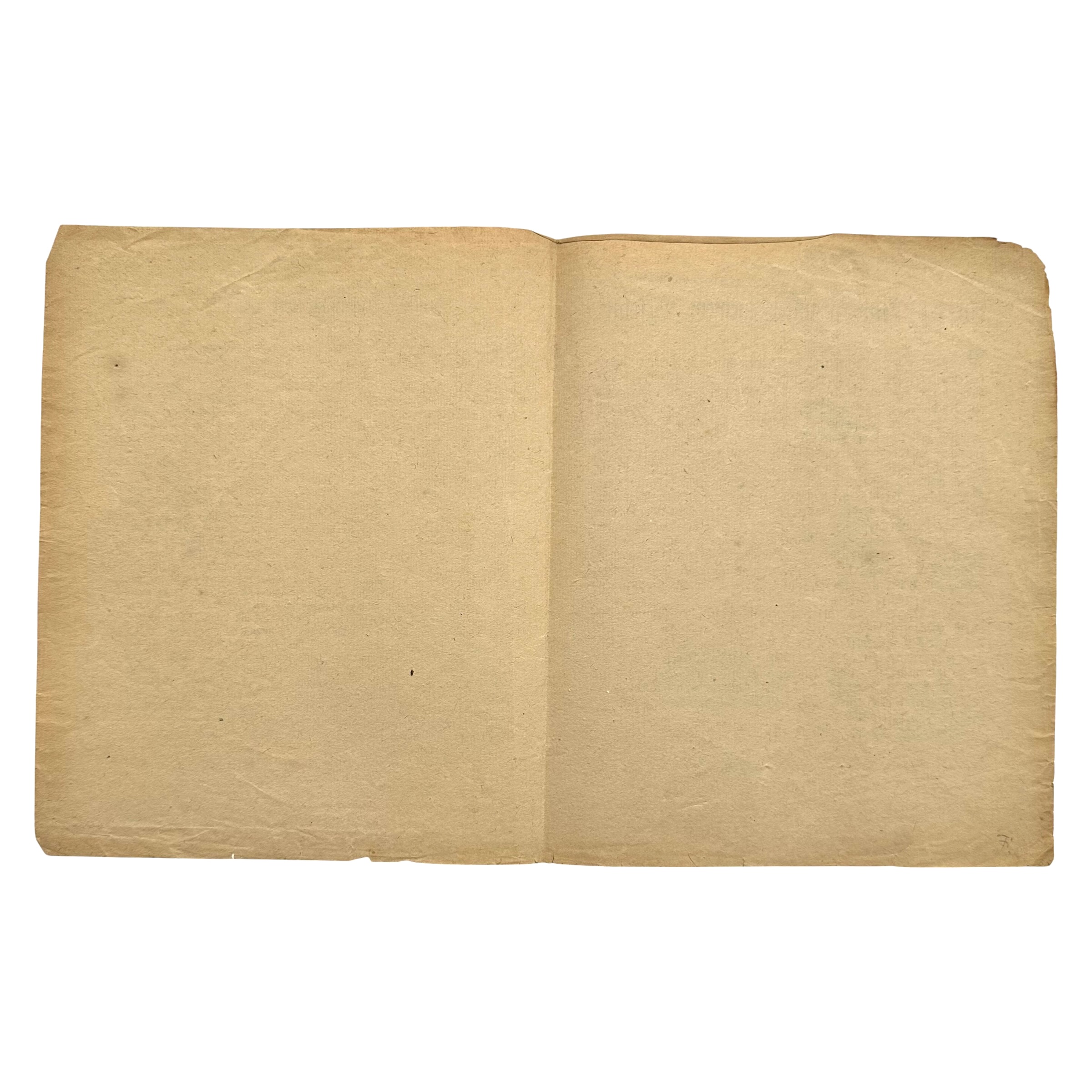 Original German 1813 Liberation Wars Document – Blücher & Graf von Wittgenstein Proclamations - Afbeelding 3