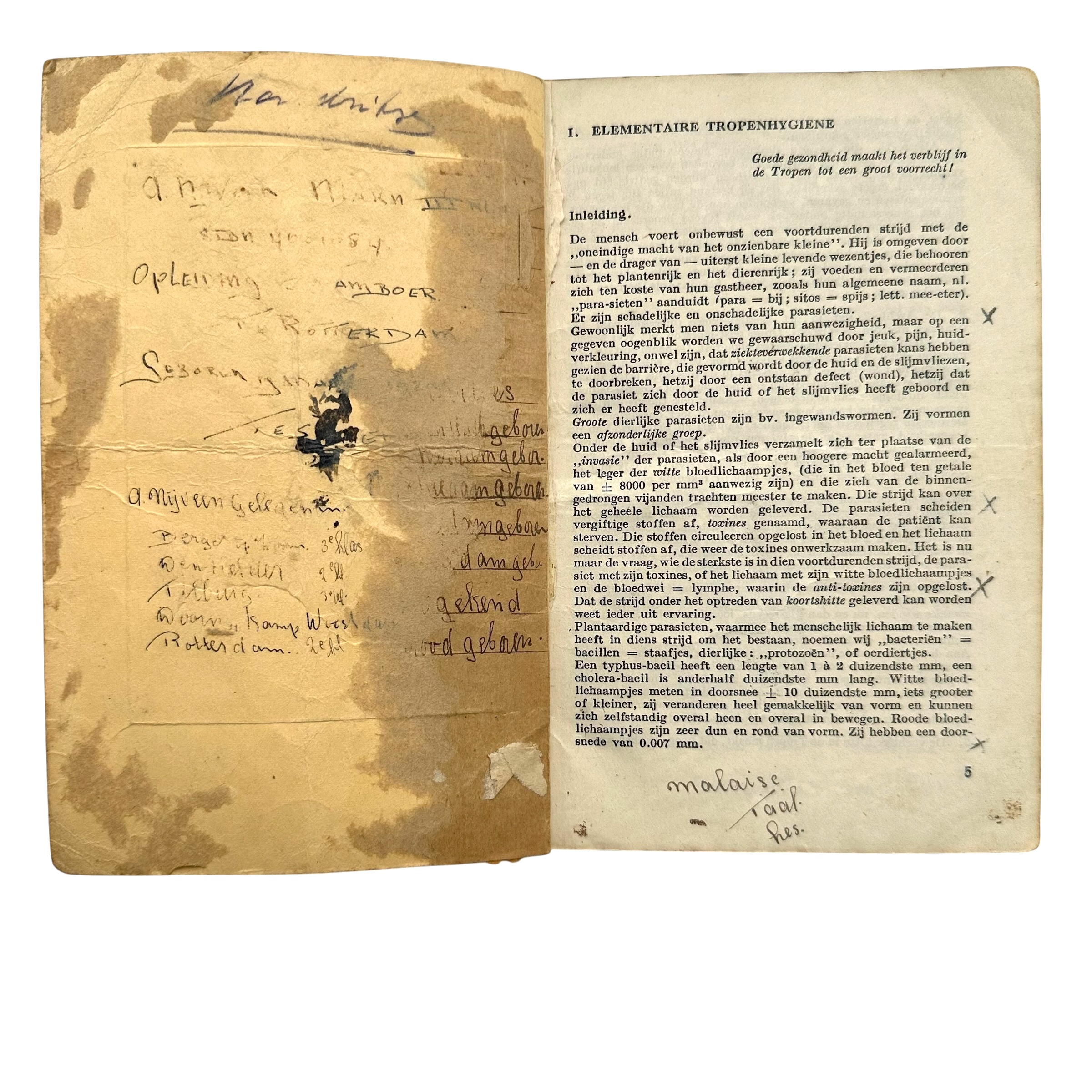 Original 1946 Royal Netherlands Navy Tropical Pocket Book – Netherlands East Indies - Afbeelding 2