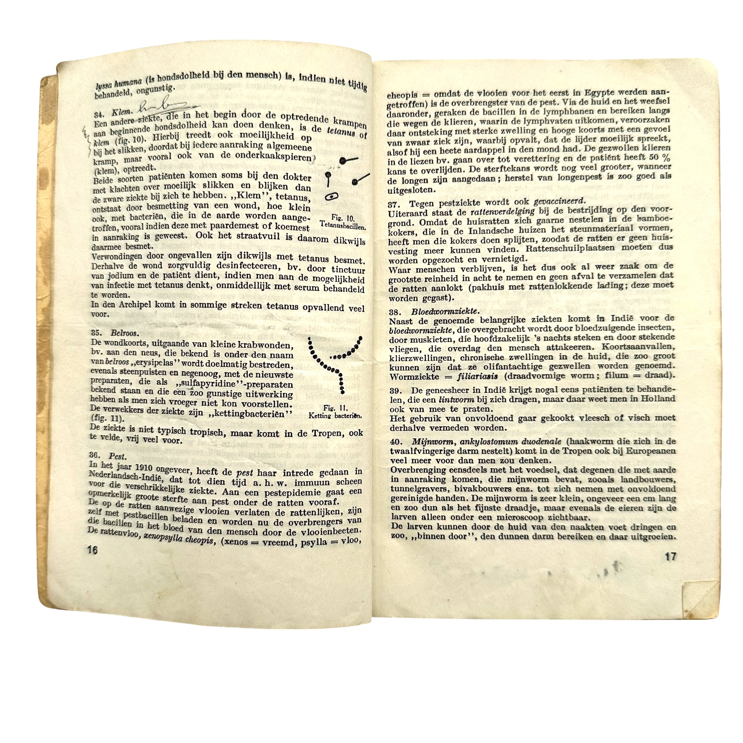 Original 1946 Royal Netherlands Navy Tropical Pocket Book – Netherlands East Indies - Afbeelding 4