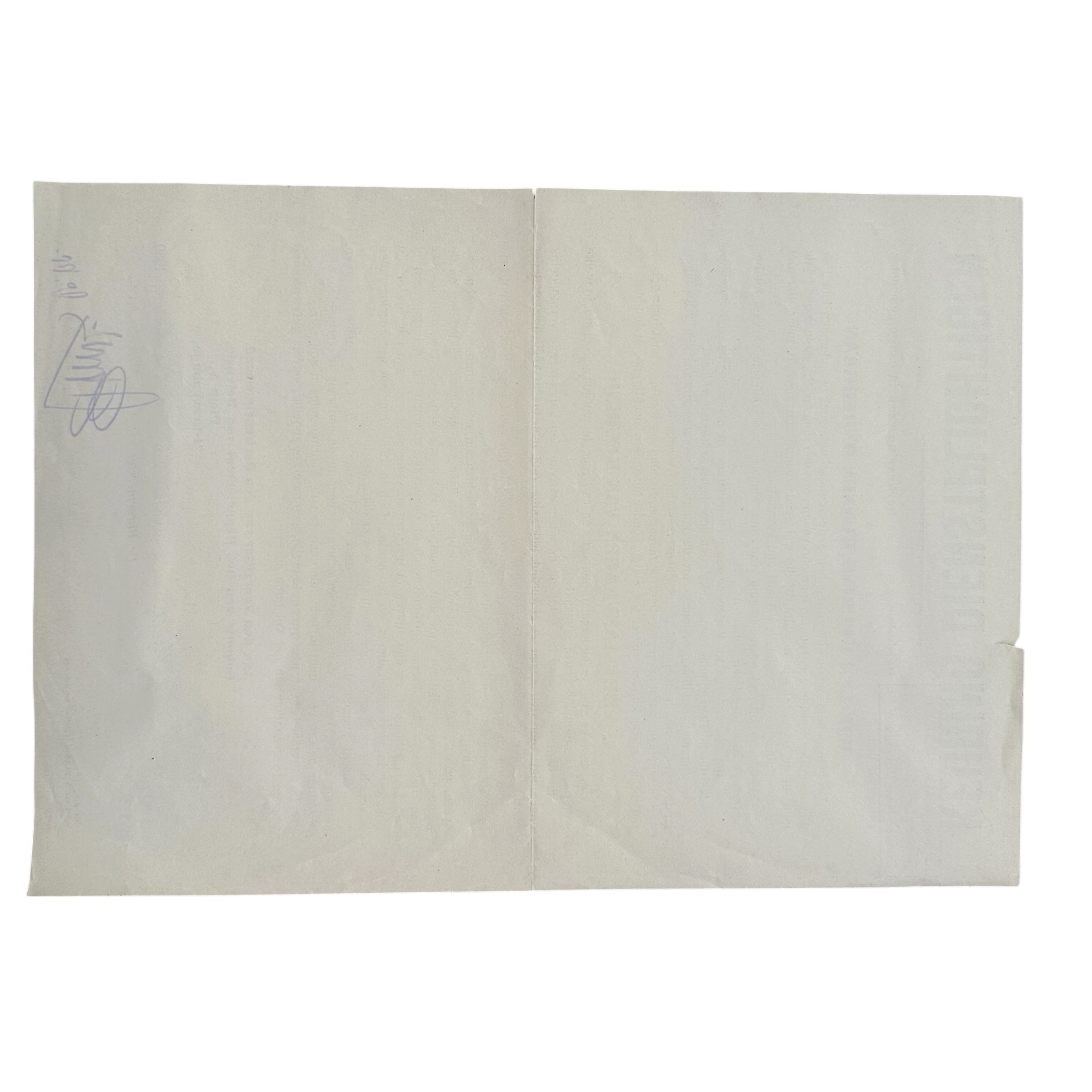 Original 1930s Dutch Army Conscription Medical Examination Poster – Maarssen - Afbeelding 7
