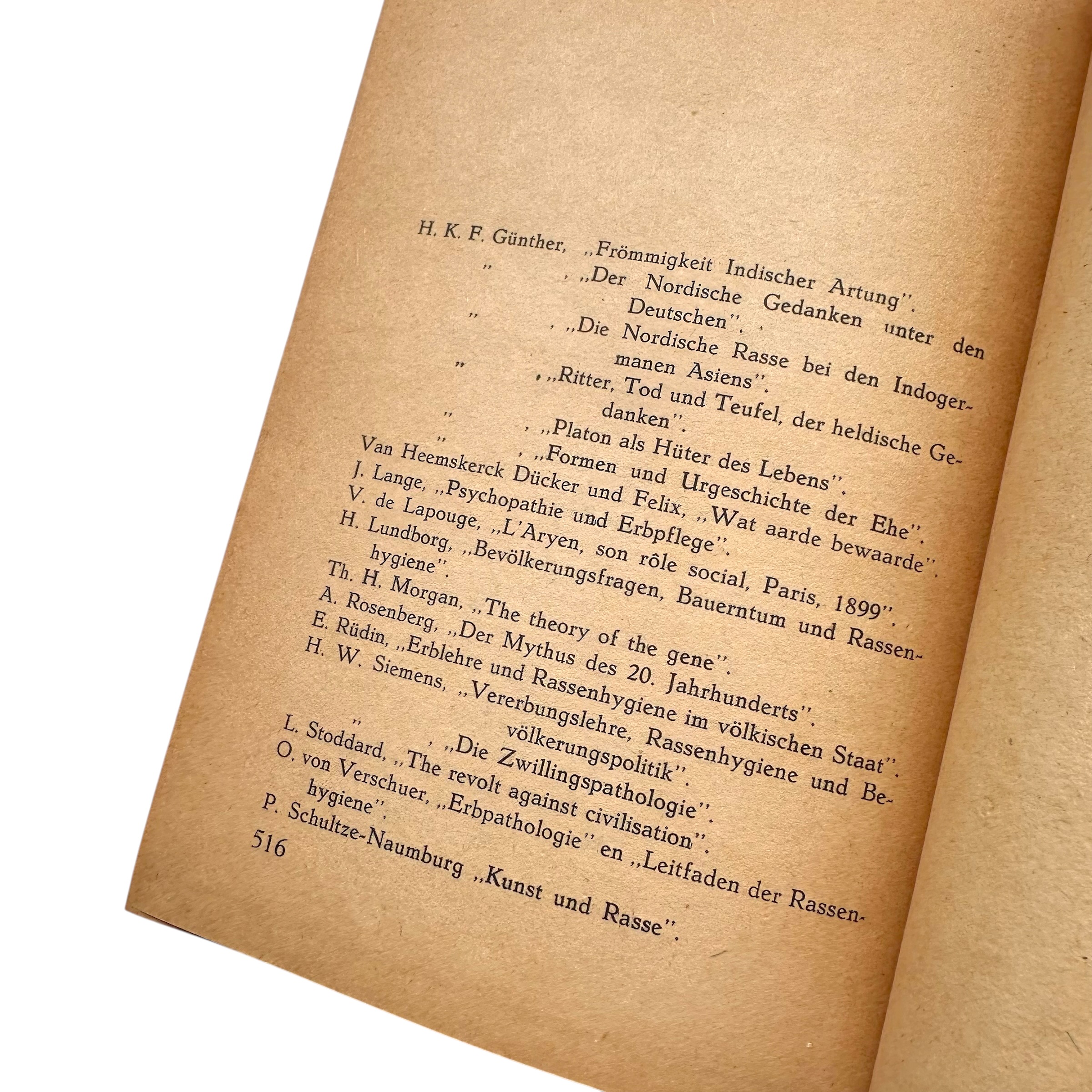 Original WWII Dutch Collaboration Racial Ideology Book 'Ras en Toekomst' Dr. G.W. Hylkema 1944 - Afbeelding 6