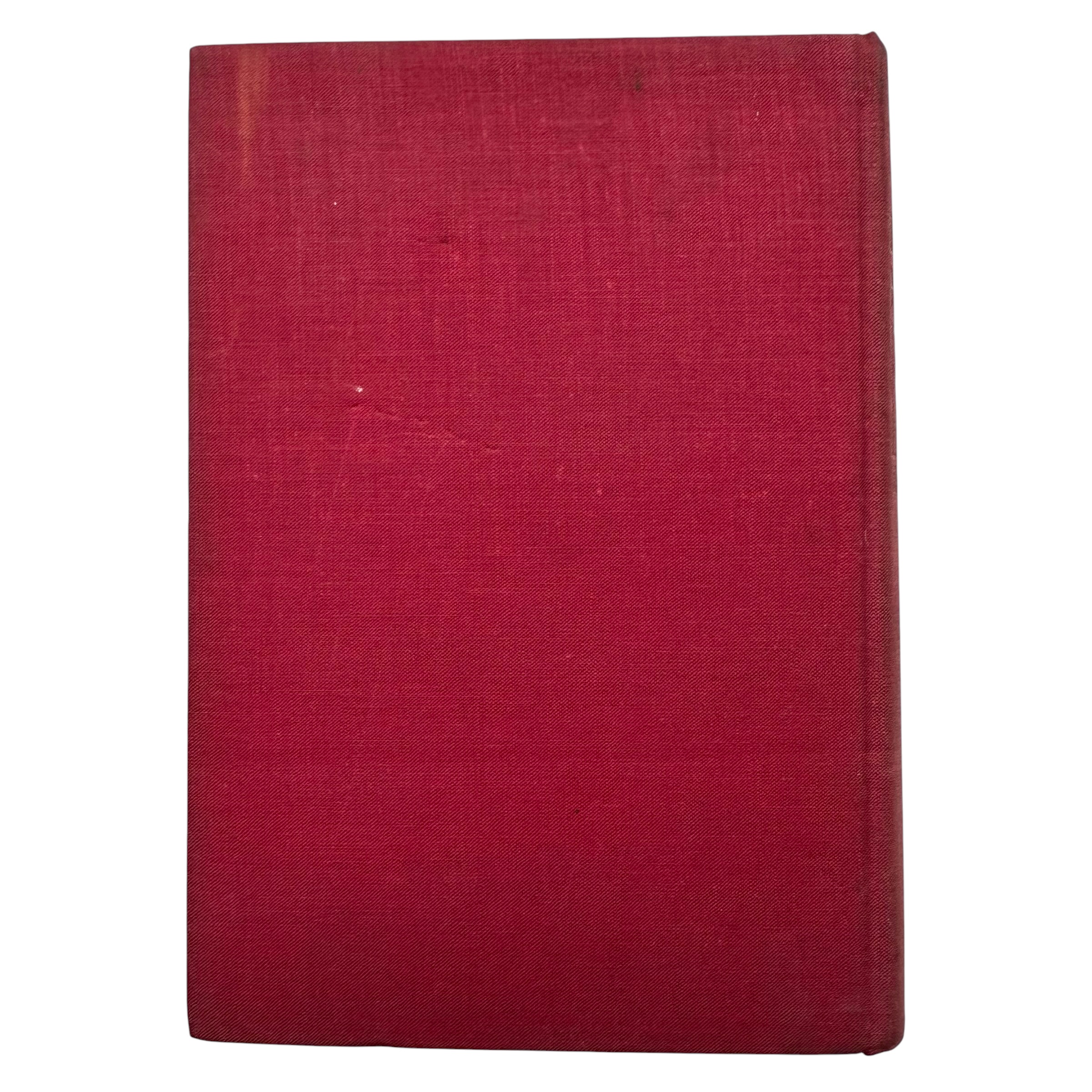Original WWII Dutch Collaboration Racial Ideology Book 'Ras en Toekomst' Dr. G.W. Hylkema 1944 - Afbeelding 8