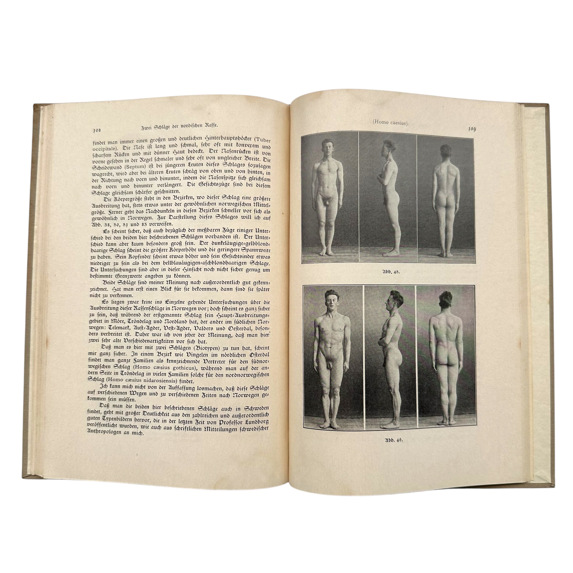 Original 1929 German Racial Anthropology Book 'Der nordische Mensch' by Halfdan Bryn – J.F. Lehmanns Verlag München