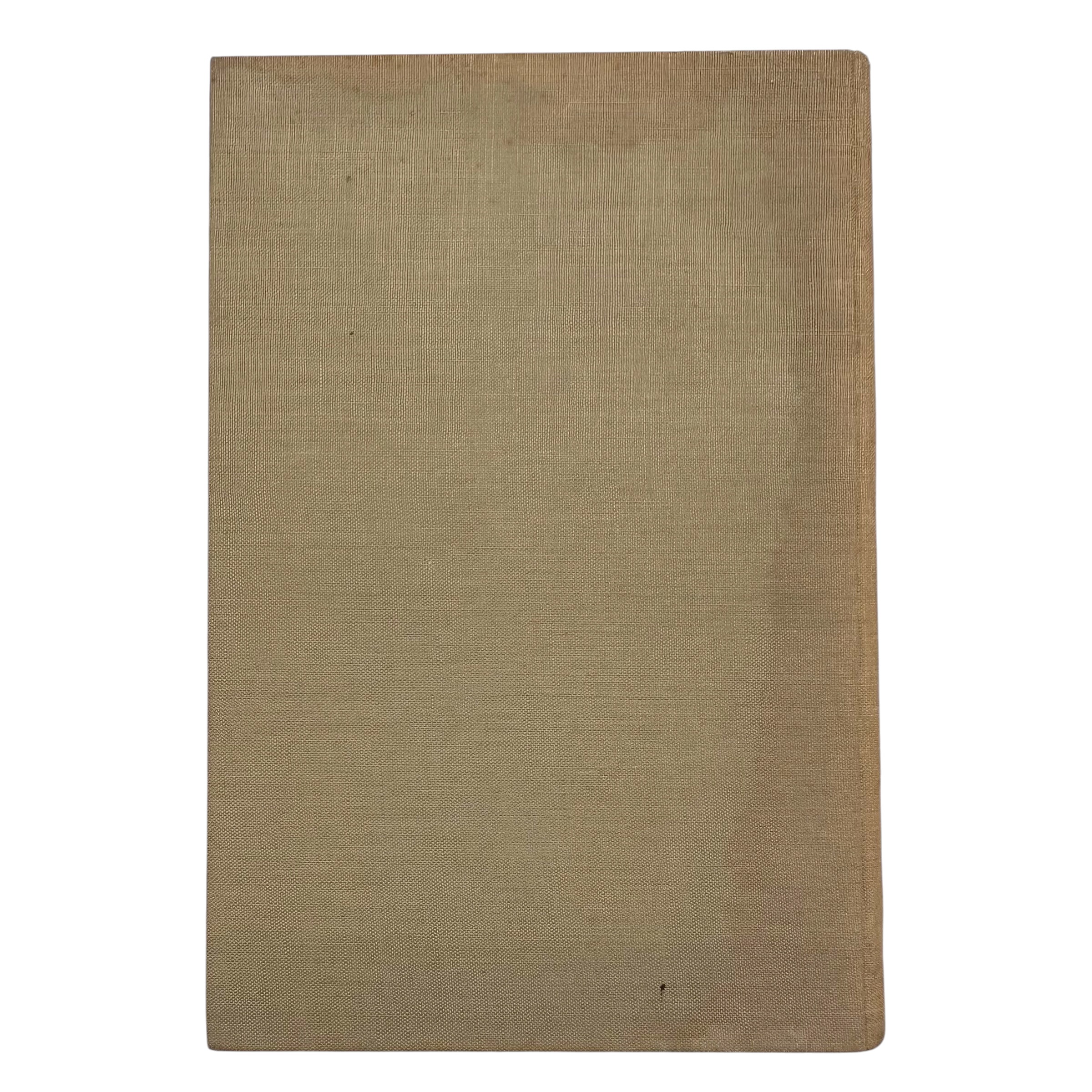 Original 1929 German Racial Anthropology Book 'Der nordische Mensch' by Halfdan Bryn – J.F. Lehmanns Verlag München - Afbeelding 11