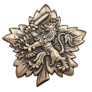 Originele WWII Nederlandse Dutch National Battalion DNB speld met Nederlandse leeuw en zwaard, verzet Aalten, bevrijding Nederland 1945.