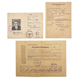 Originele Duitse Ausweis-set van een Poolse arts, bezet Polen, WOII